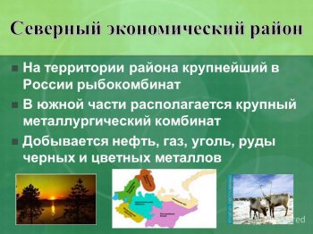 На территории района крупнейший в России рыбокомбинат В южной части располагается крупный металлургический комбинат Добывается нефть, газ, уголь, руды черных и цветных металлов